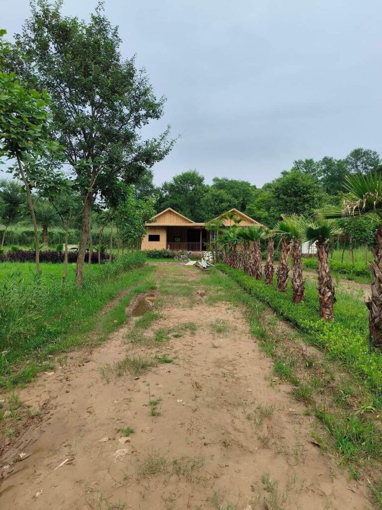 Farm House For Sale In New Chandigarh