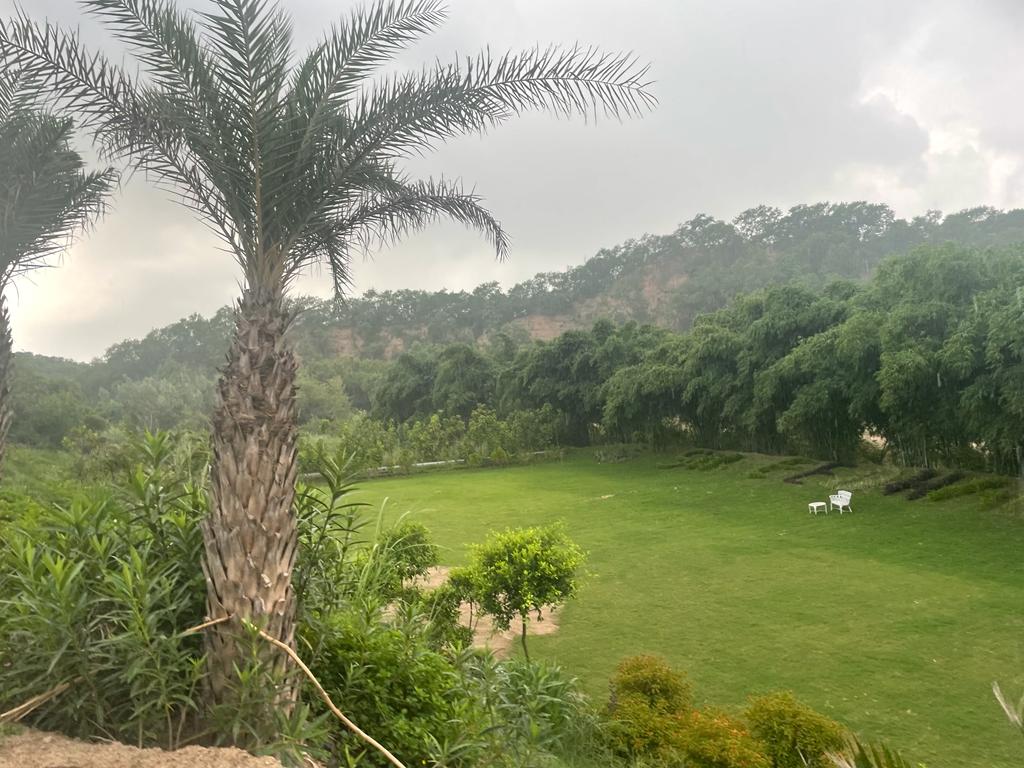 Farm House For Sale In New Chandigarh